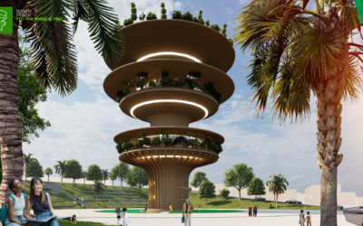 THE TIMELESS TREE (TTT PROJECT)